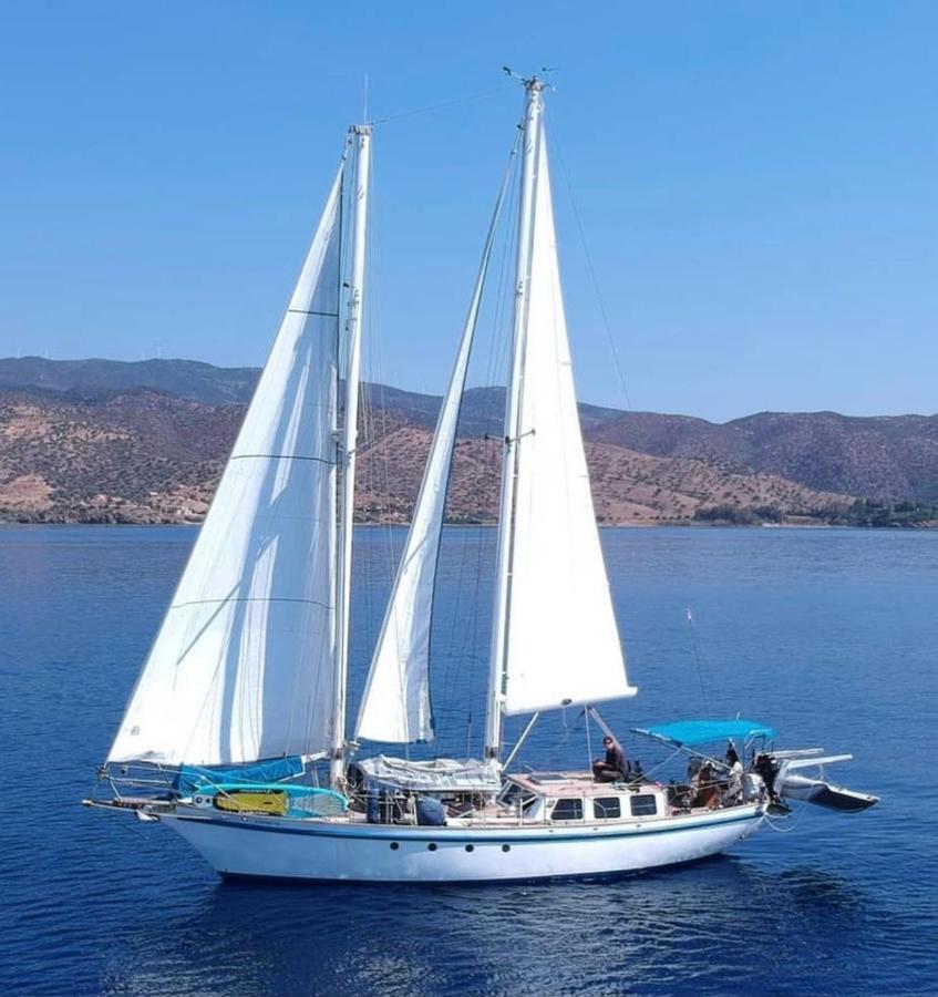 Fantastico Velero En Barcelona Hotel Сант Адриа де Бесос Екстериор снимка